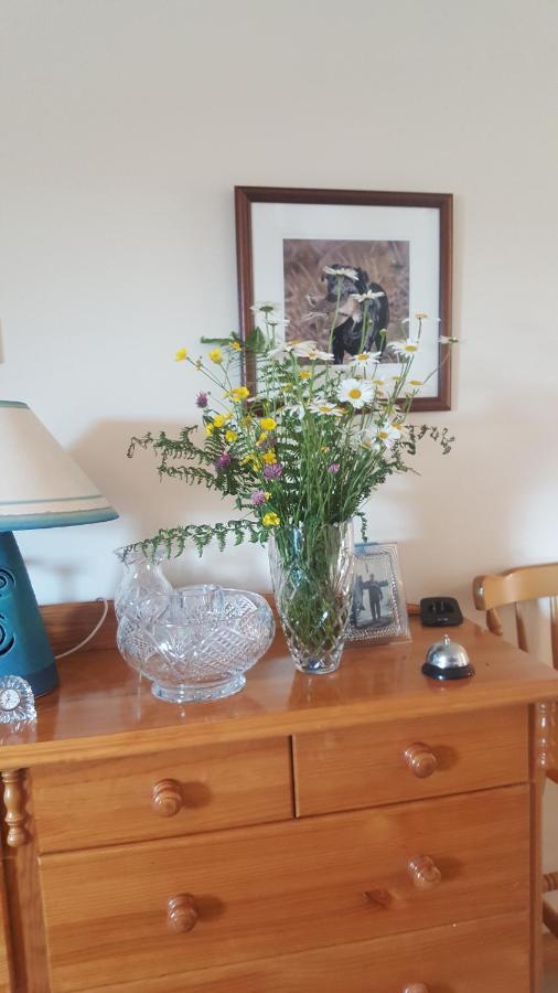Corrib View Lodge Glencorrib  Zewnętrze zdjęcie